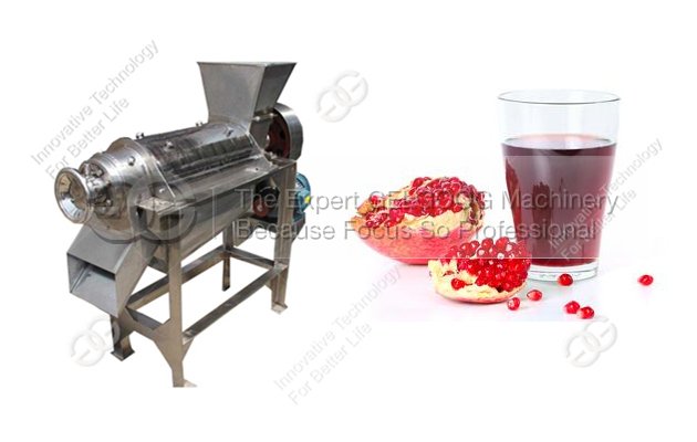 Pomegranate Juice Extractor Machine 