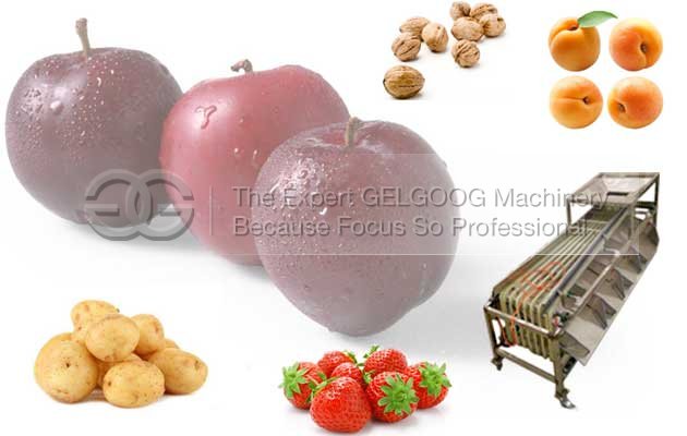 multifunction fruit sorting machine manufacturer