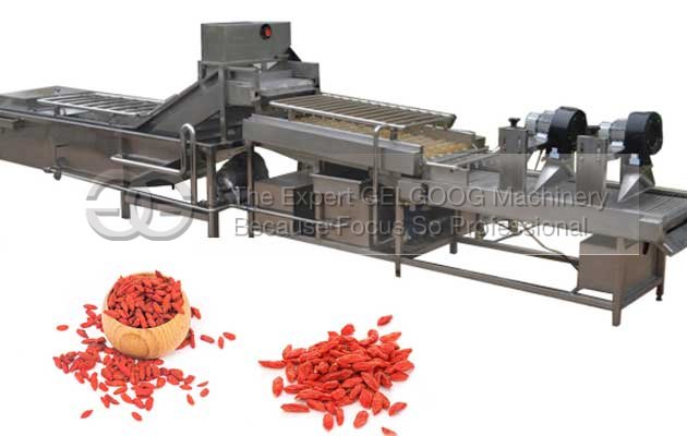 Automatic Dried Wolfberry Washing Machine|Wolfberry Cleaning and Drying Line
