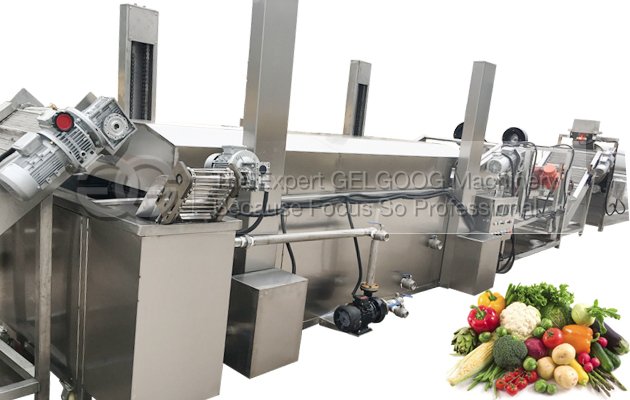 fruit vegetable washing and drying line
