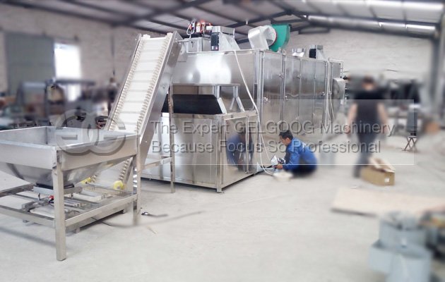multifunction nuts roasting machine with best price china