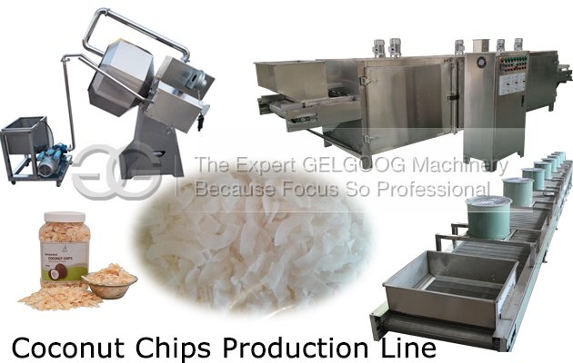 coconut chips making machine price