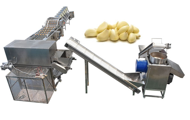 automatic garlic peeling machine price in india