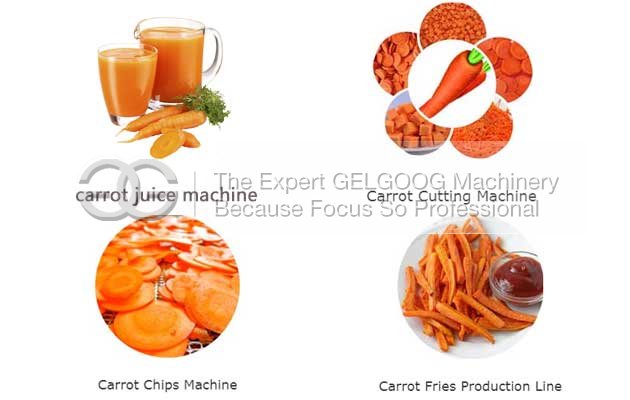 carrot process equipment