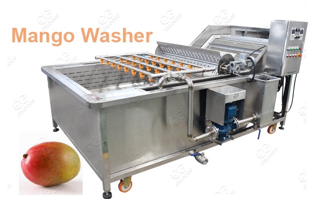 mango washer machine
