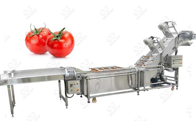 Customized Tomato Washer Machine Tomato Process Machine