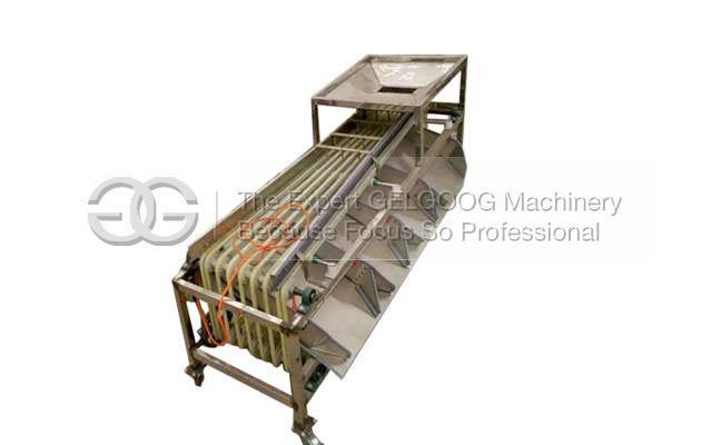 Multi Function Fruit Sorting Machine Manufacturers
