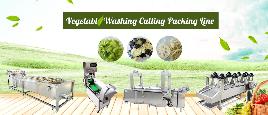 Vegetable Washing Cutting Packi