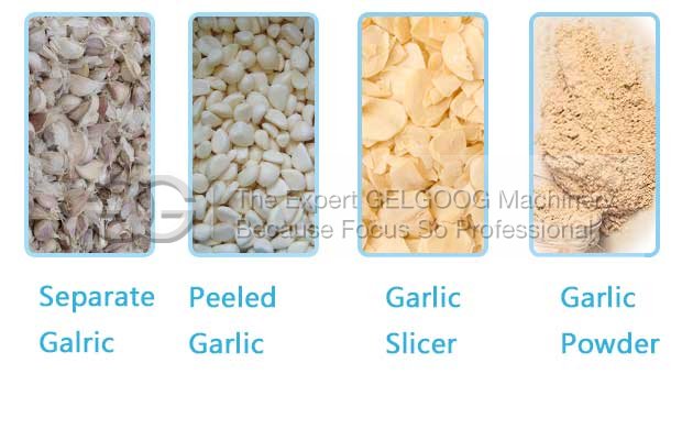 Industrial Garlic Powder Production Line Garlic Processing Machine Manufacturer