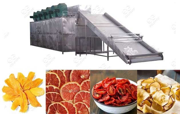 Industrial Dried Fruit Machine Manufacturer