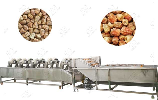 Date Washing Drying Machine Line|Date Palm Cleaner Line|Jujube Cleaning Line