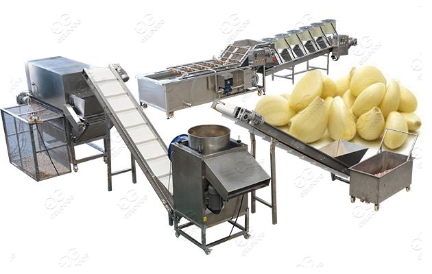 Fully Automatic Garlic Peeling Processing Plant 1000kg/h