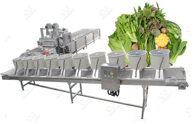 Fruit And Vegetable Processing Machinery Manufacturers