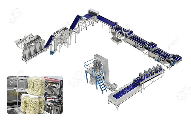 Fully Automatic Garlic Peeling Processing Plant 1000kg/h