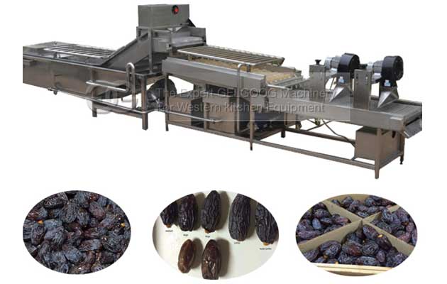 commercial date palm cleaning machine for sale
