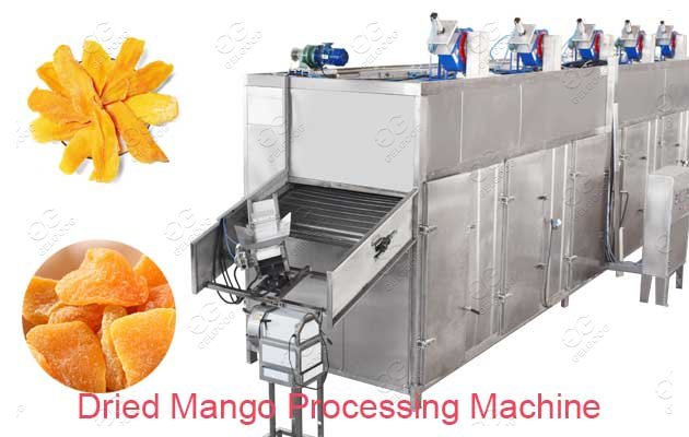 Dried Mango Processing Machine Mango Dehydrator Machine