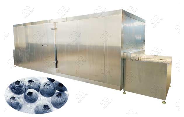 Fruit Blueberry Freeze Drying Machine Manufacturer