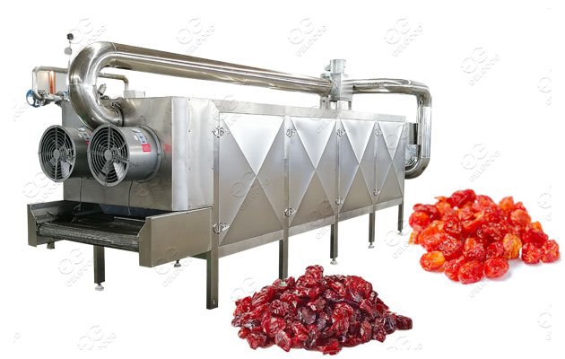 Commercial Cranberry Cherry Dehydration Machine