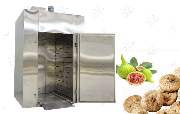 fig processing machine