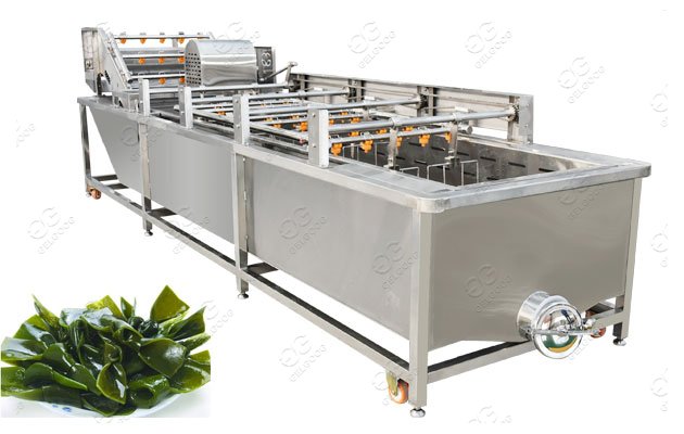 automatic vegetable washer