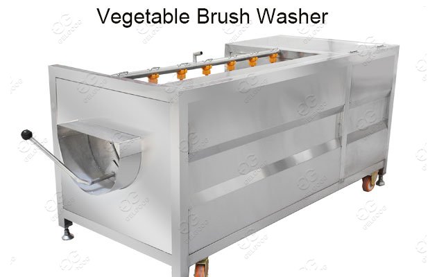 fruit and vegetable washing machine