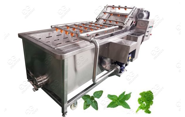 Industry Multi-Functional Bubble Vegetable Cleaning Machine