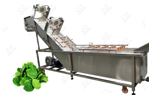 Automated Leafy Vegetable Fruit Lettuce Cabbage Bubble Washing Ozone Washer  Cleaning Machine - China Ozone Vegetable Washer, Ozone Fruit and Vegetable  Washing Machine