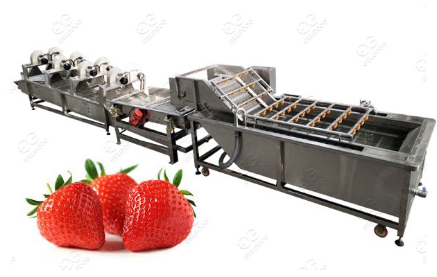 Strawberry Washing Machine Fruit Vegetable Washing Line