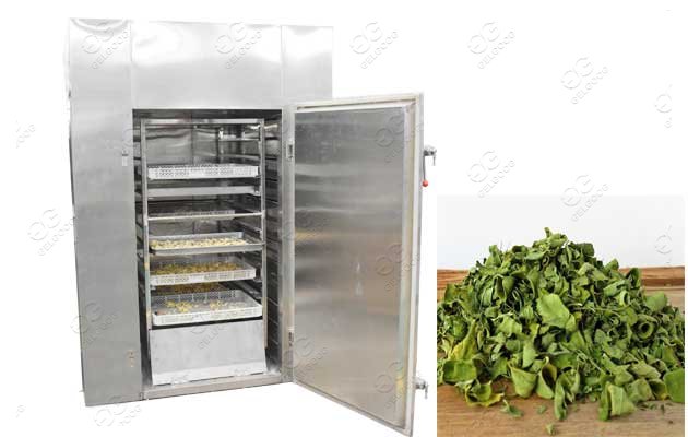 Moringa Leaf Dryer Machine Dehydration Of Moringa Leaves