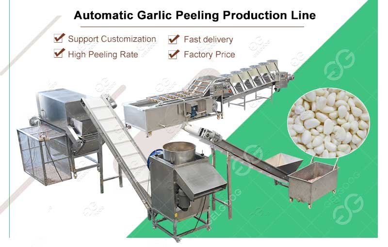 Industrial Garlic Peeling Machine Production Line Fully Automatic