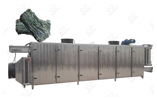 Continuous Kelp Drying Machine 