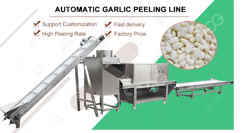 Industrial Use Garlic Peeling Machine