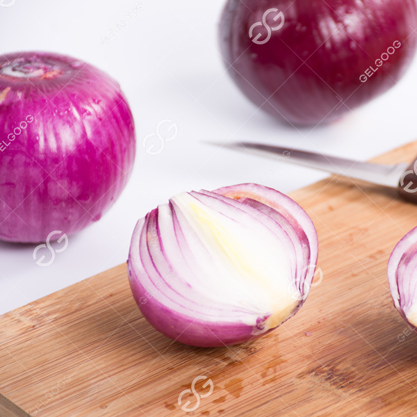 onion processing business