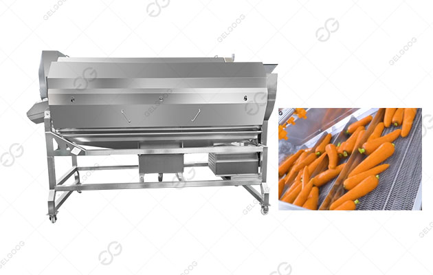  Carrot Potato Washing and Peeling Machine Hot Sale